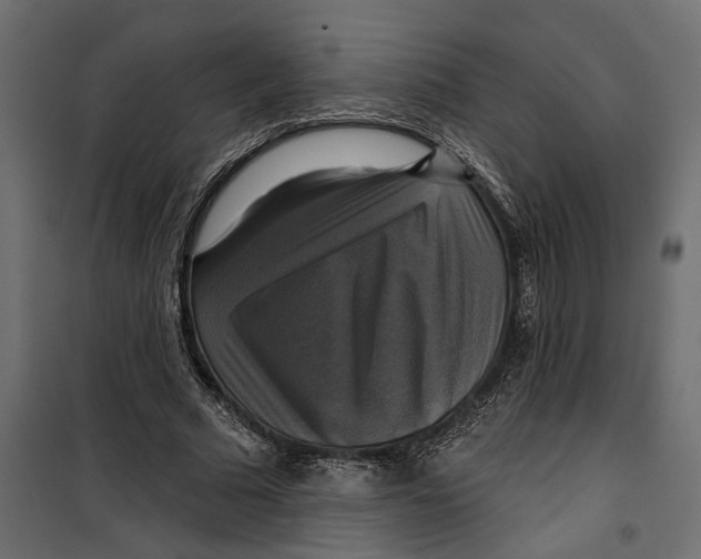 X0000099950681200806201313