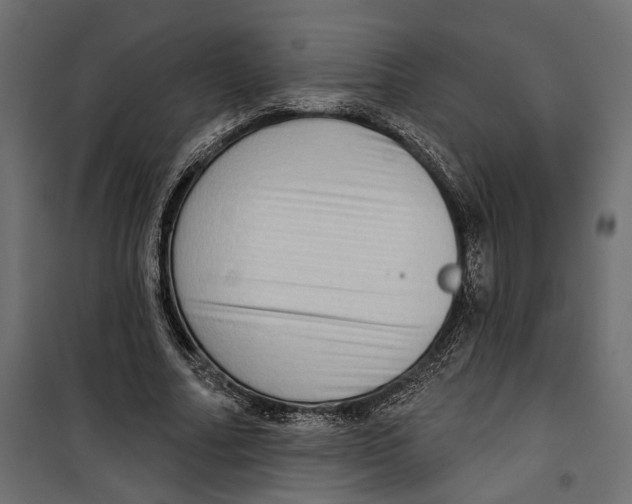 X0000099950682200806201313