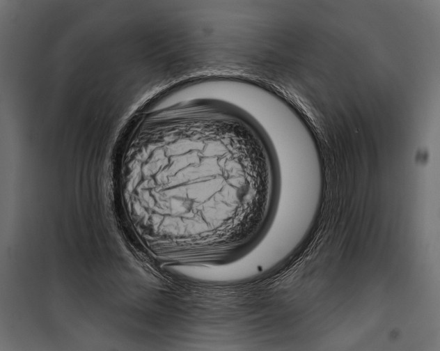 X0000099950684200806201313