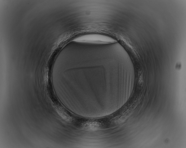 X0000099950685200806201313