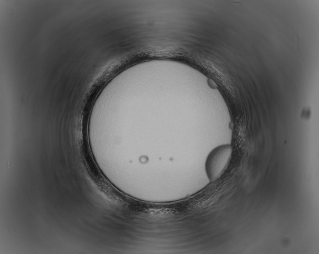 X0000099950686200806201313