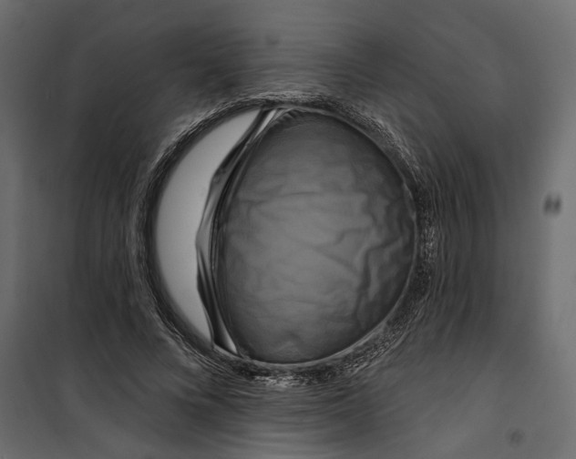 X0000099950688200806201313
