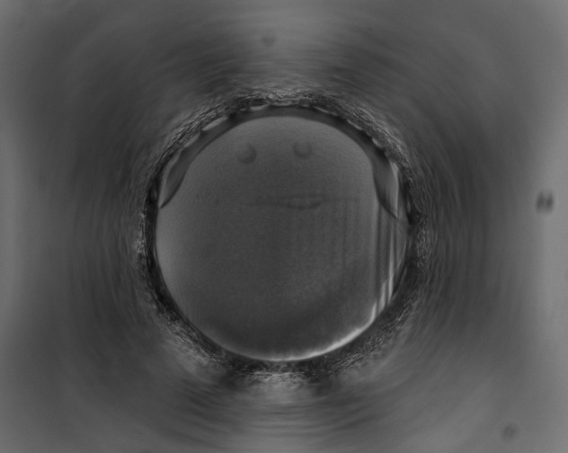X0000099950689200806201313