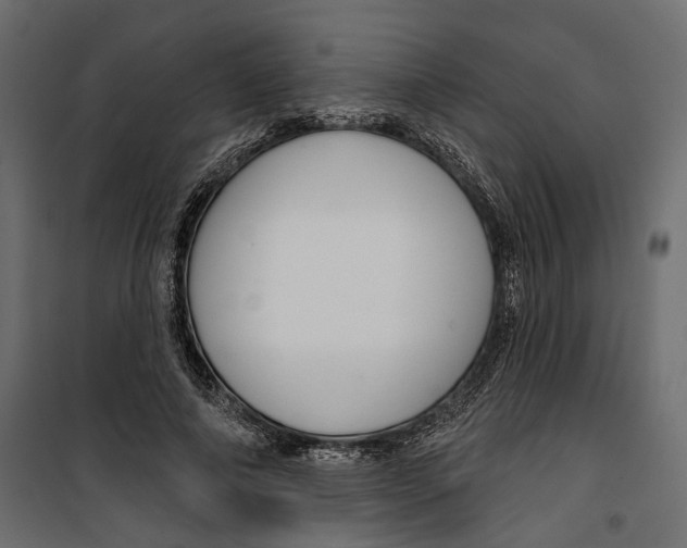 X0000099950690200806201313