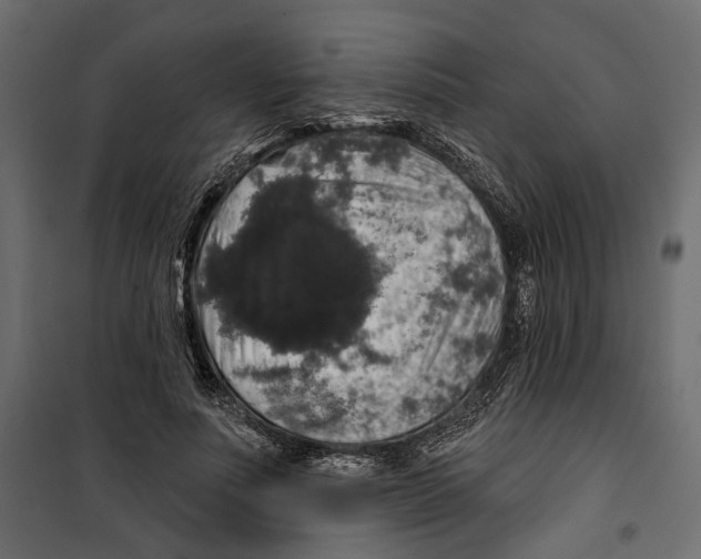 X0000099950691200806201313