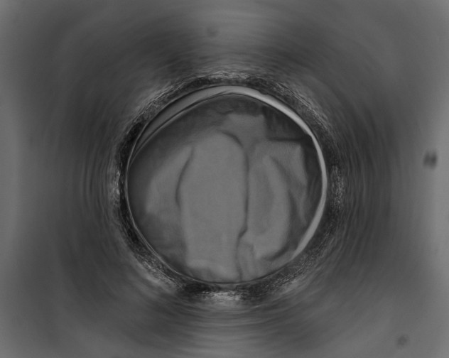 X0000099950692200806201313