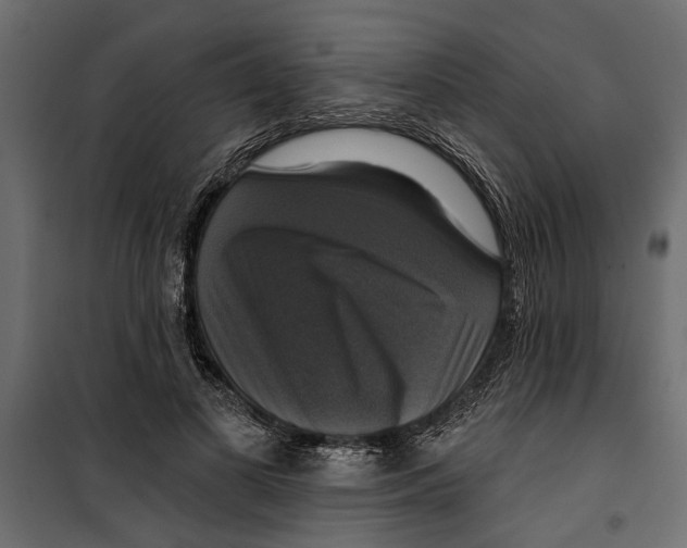 X0000099950693200806201313