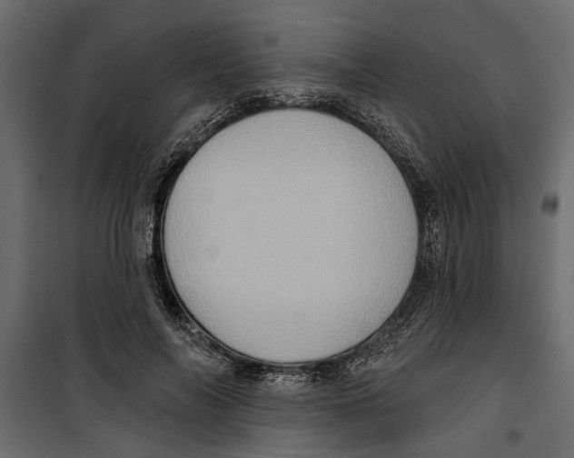 X0000099950694200806201313
