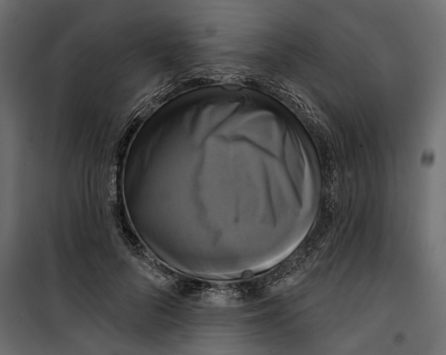 X0000099950696200806201313