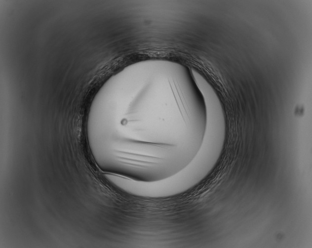 X0000099950697200806201313