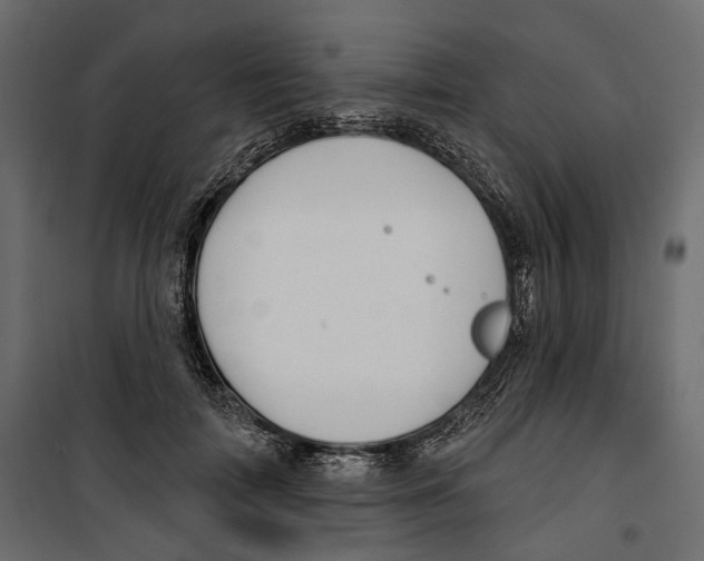 X0000099950698200806201313