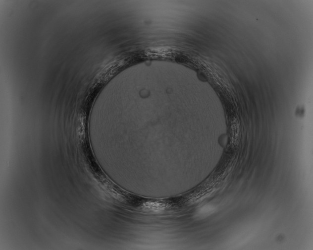 X0000099950699200806201313