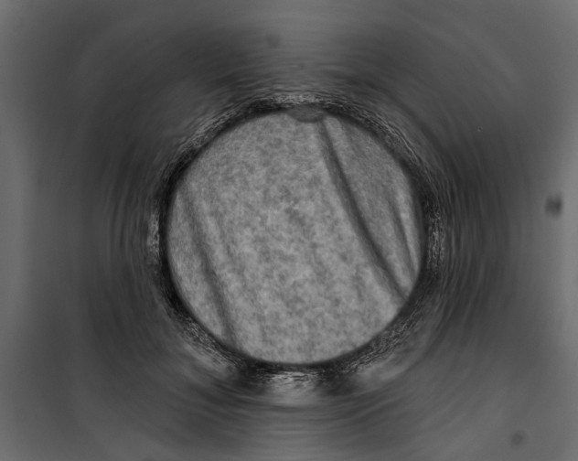 X0000099950700200806201313