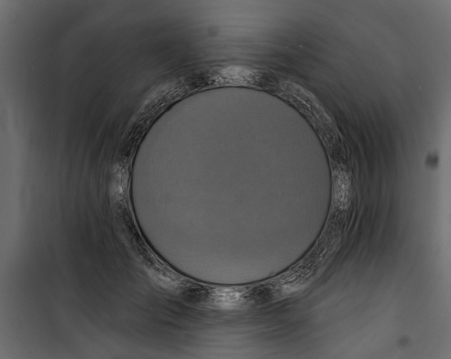 X0000099950701200806201313
