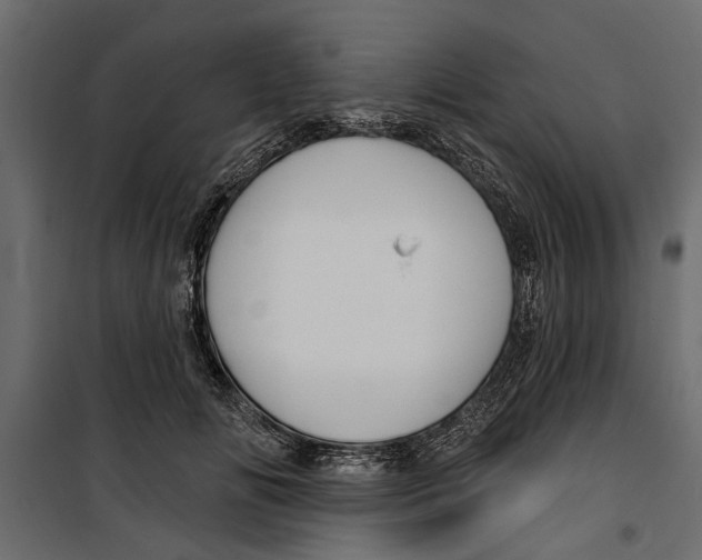 X0000099950702200806201313