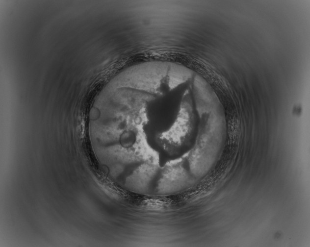 X0000099950703200806201313