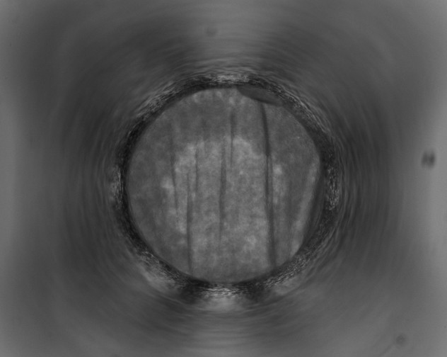 X0000099950704200806201313