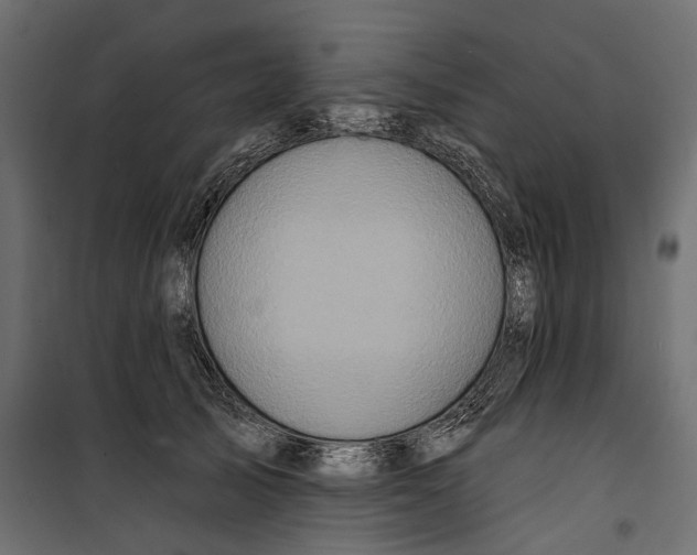 X0000099950705200806201313