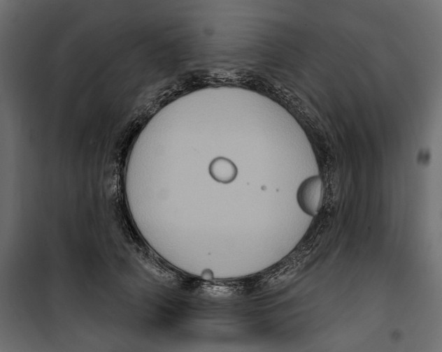 X0000099950706200806201313