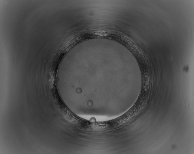 X0000099950707200806201313