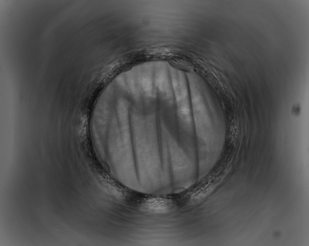 X0000099950708200806201313