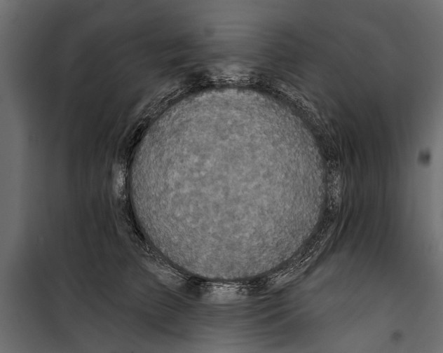 X0000099950709200806201313