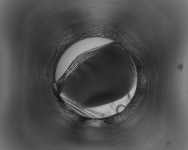 X0000099950711200806201313