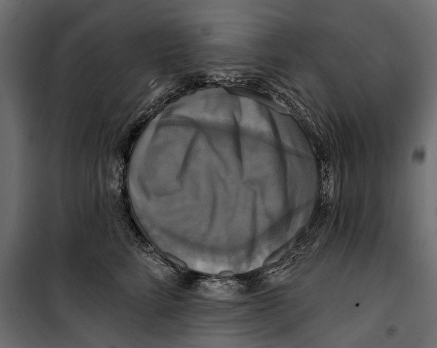 X0000099950712200806201313
