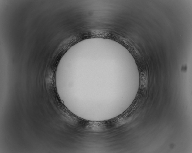X0000099950713200806201313
