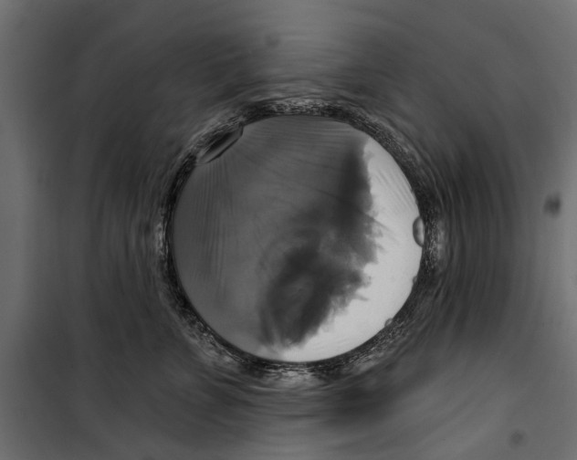 X0000099950715200806201313