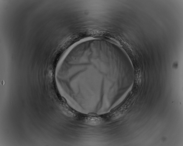 X0000099950716200806201313
