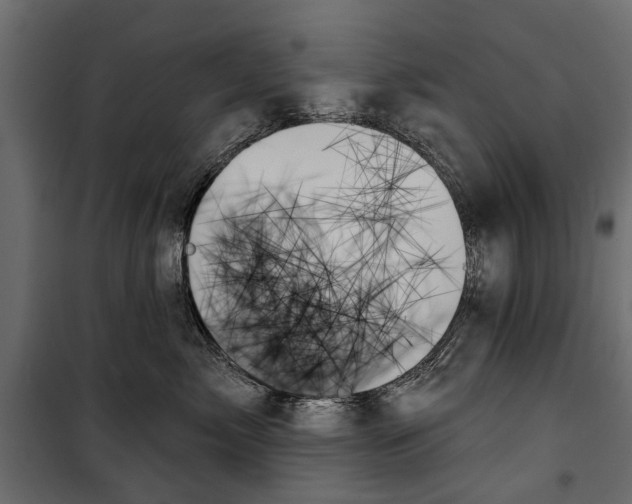 X0000099950717200806201313