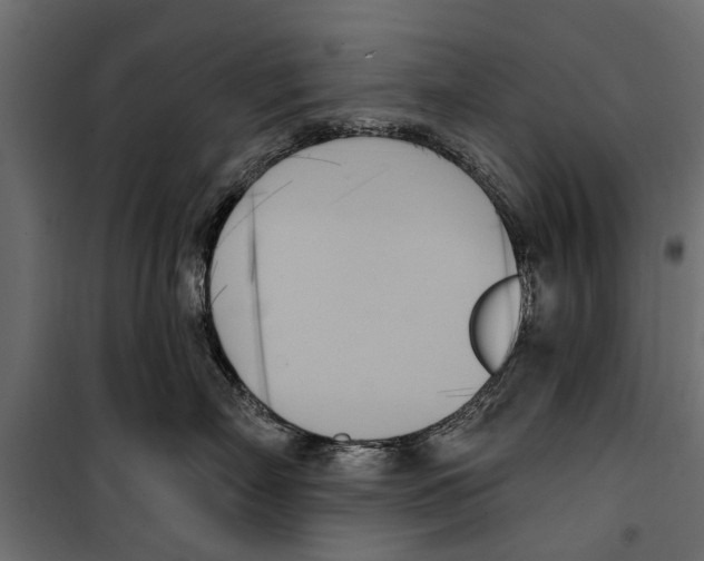 X0000099950718200806201313