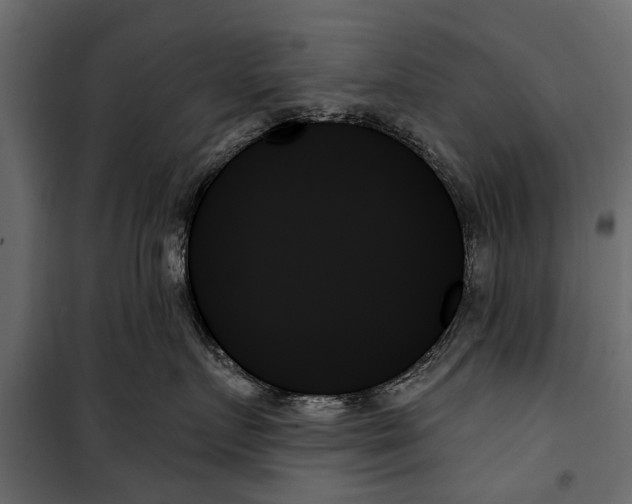 X0000099950719200806201313