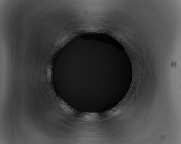 X0000099950720200806201313