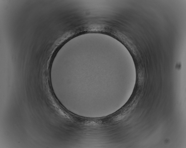 X0000099950721200806201312