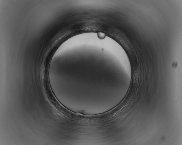 X0000099950722200806201312