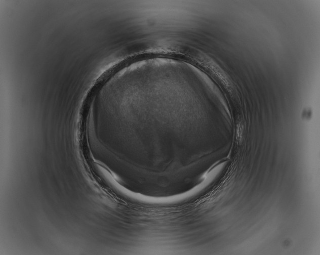 X0000099950724200806201312