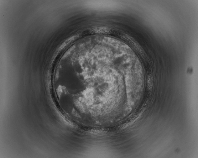 X0000099950725200806201312