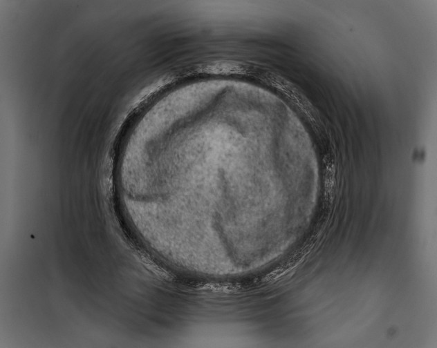 X0000099950727200806201312