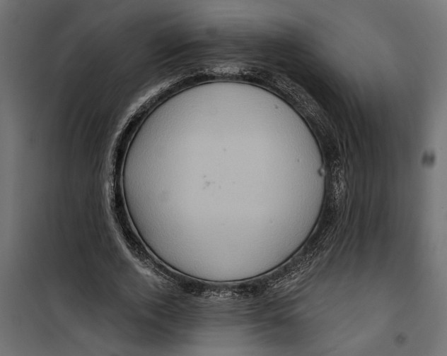 X0000099950728200806201312