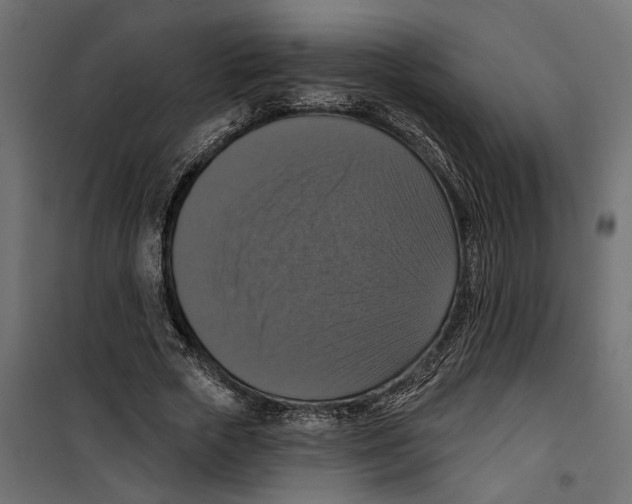 X0000099950729200806201312