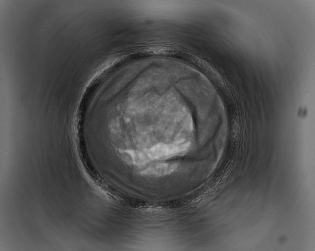 X0000099950730200806201312