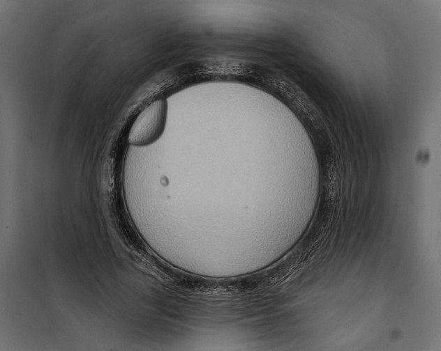 X0000099950731200806201312
