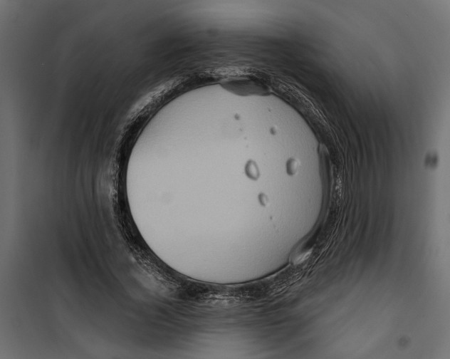 X0000099950732200806201312