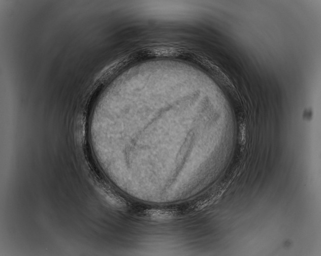 X0000099950733200806201312