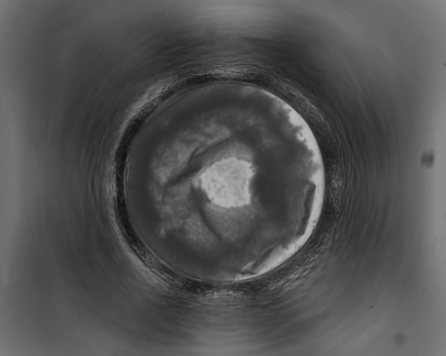 X0000099950734200806201312