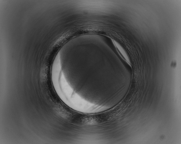 X0000099950735200806201312