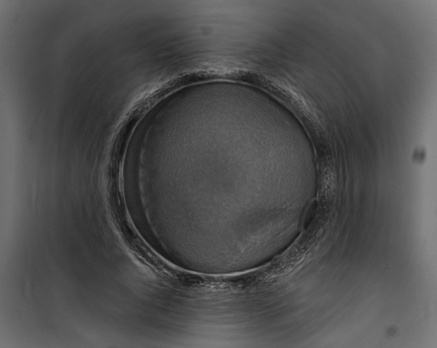 X0000099950736200806201312