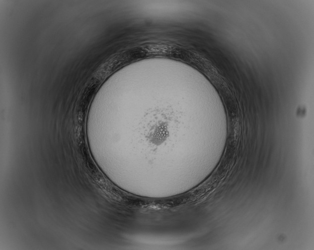 X0000099950737200806201312